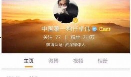 卓伟爆料赵丽颖在娱乐圈,娱乐圈新动态揭秘